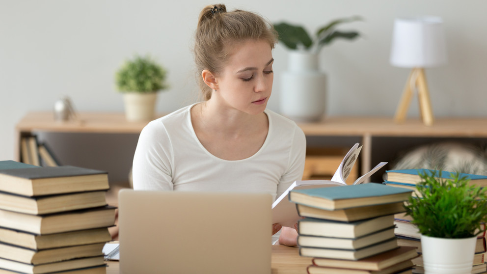 Decorative picture: A young woman working on a computer