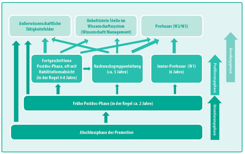 Die Grafik zeigt die Abschnitte in der Postdoc-Phase. Die frühe Postdoc-Phase dauert etwa zwei Jahre und dient der Orientierung. Je weiter die Postdoc-Phase fortschreitet, desto schwieriger wird ein Wechsel in außerwissenschaftliche Tätigkeitsbereiche, obwohl dies selbst nach der Habilitation grundsätzlich noch möglich ist. Die anderen beiden Karrierewege sind die Berufung auf eine W2- oder W3-Professur oder eine Stelle im Wissenschaftsmanagement. Die Berufungsfähigkeit auf eine Professur, kann dabei über die Habilitation, die Leitung einer Nachwuchsgruppe oder einer Juniorprofessur erreicht werden. Die Phase bis zur Berufung kann dabei zwischen fünf und acht Jahren andauern.